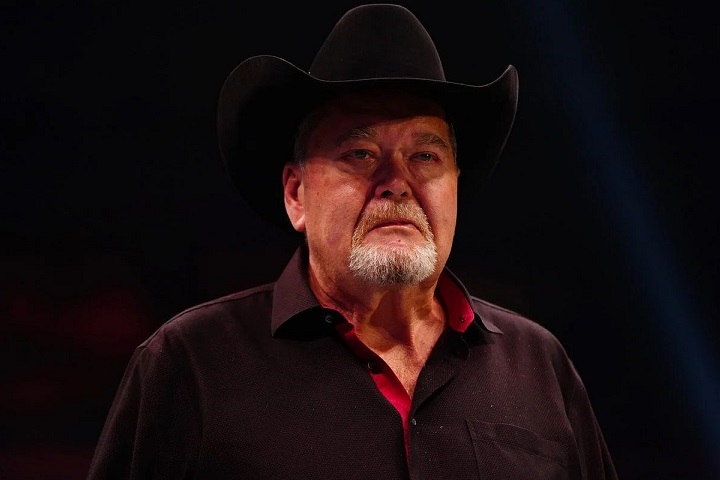 Jim Ross Didn't Have An Issue With AEW's Casino Ladder Match