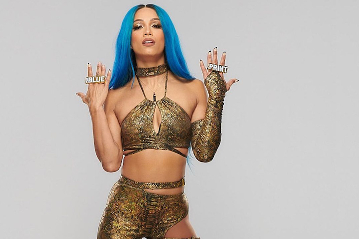 Sasha Banks Not Seen Internally As Somebody Who Would Be On ...