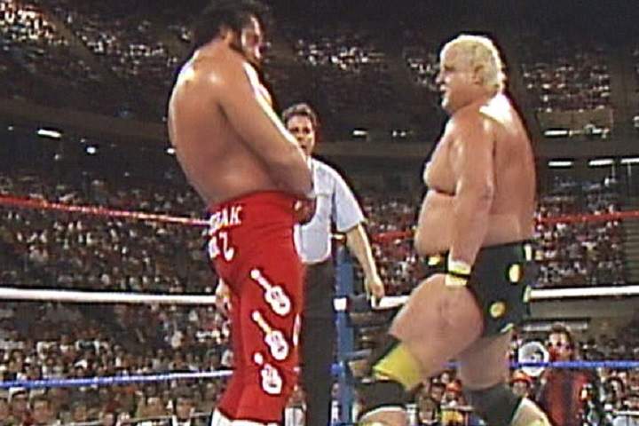 WWE SummerSlam 1989 Full Results August 28, 1989: Match Card...