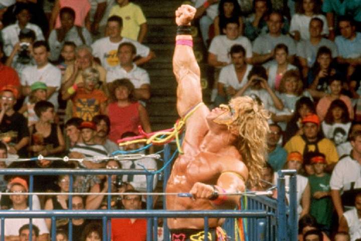 WWE SummerSlam 1990 Full Results August 27, 1990: Match Card...