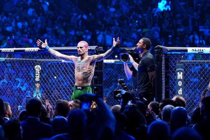 Watch: Sean O'Malley TKOS Aljamain Sterling To Win Bantamwei...