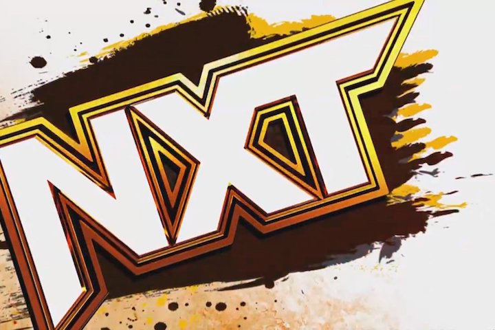 Complete Spoiler Results For 2/20 WWE NXT