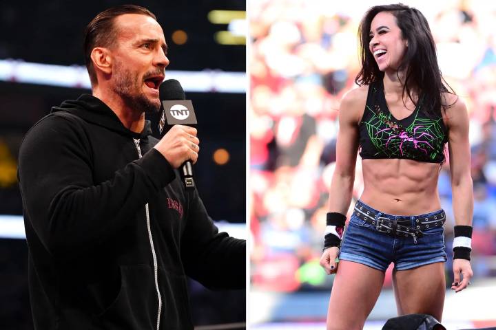 CM Punk on AJ Lee's Potential WWE Return: 'Probably Not, But I'd Love It'