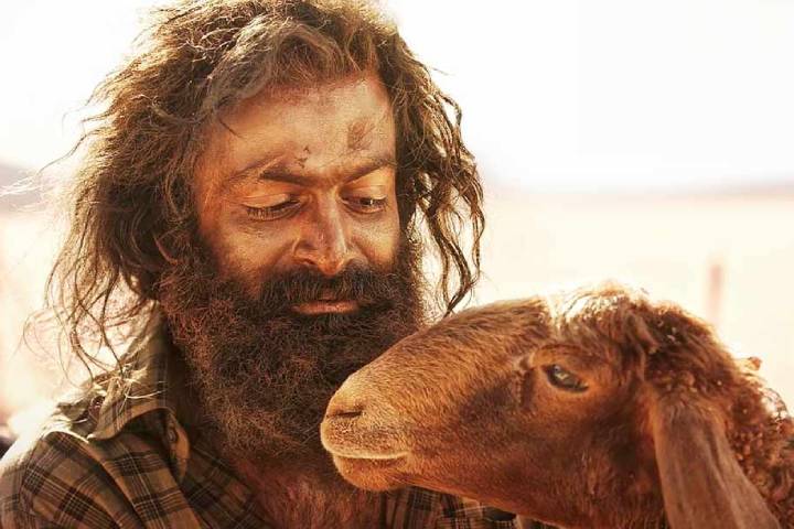 Prithviraj Sukumaran's 'Aadujeevitahm: The Goat Life' Hits 150 Crore Worldwide Gross