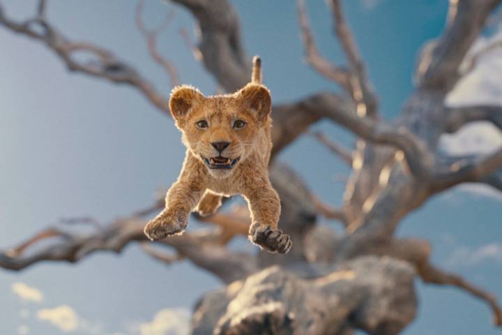 The First Trailer For Disney's 'Mufasa - The Lion King' Released
