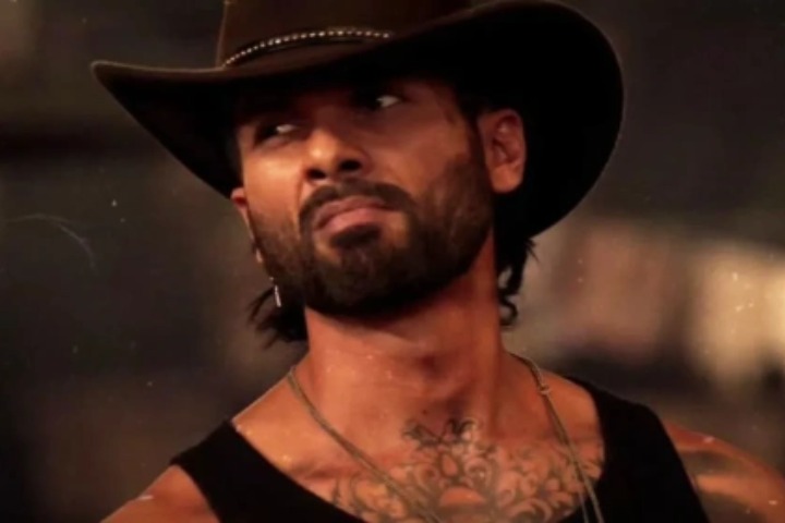 O'Romeo Box Office Collection Day 17: Shahid Kapoor Starrer ...