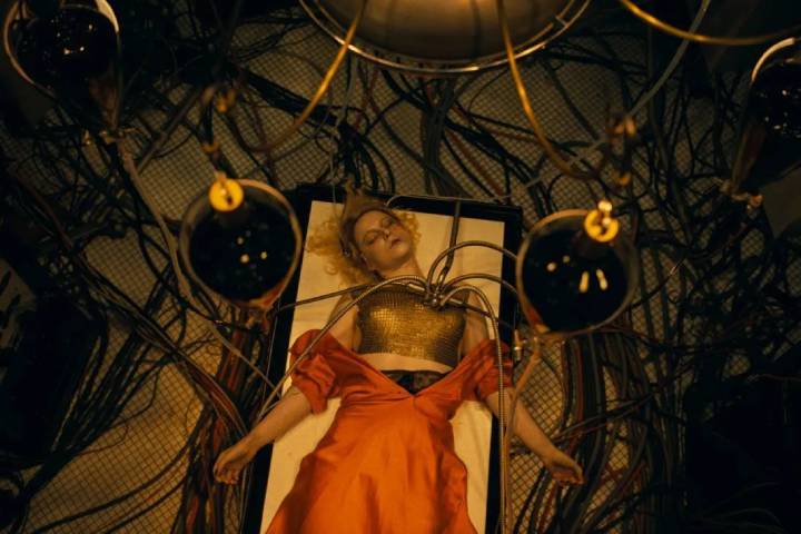 The Bride Box Office Collection | All Language | Day Wise | ...