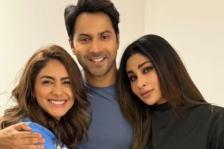 Varun Dhawan's Hai Jawani Toh Ishq Hona Hai Postponed: David...