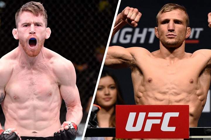 UFC on ESPN: Sandhagen Vs. Dillashaw Fight Card: Prediction,...