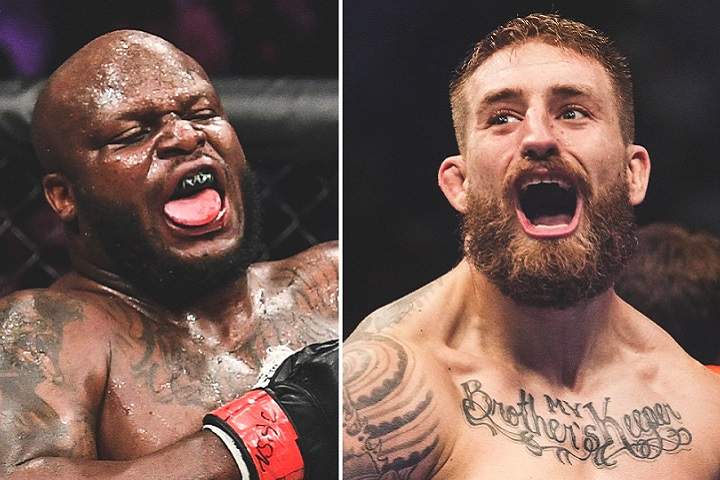 UFC Fight Night: Lewis vs. Daukaus Fight Card: Prediction & ...