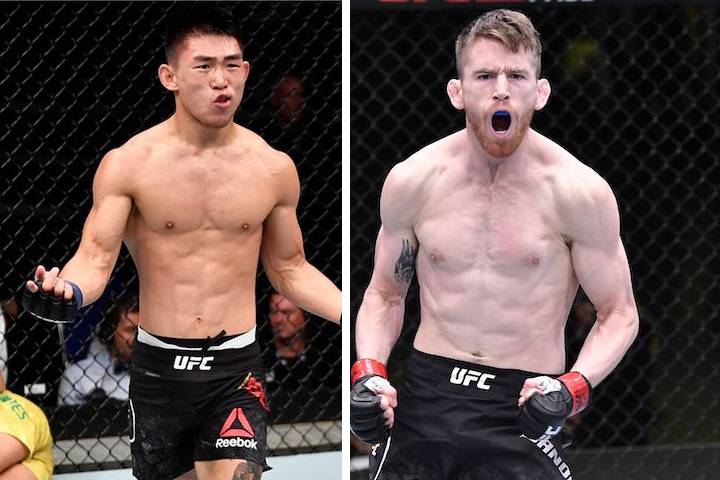 UFC Fight Night 210 Fight Card: Prediction & Preview, Date &...