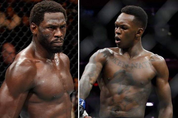 UFC 276 Fight Card: Prediction & Preview, Date & Location, T...