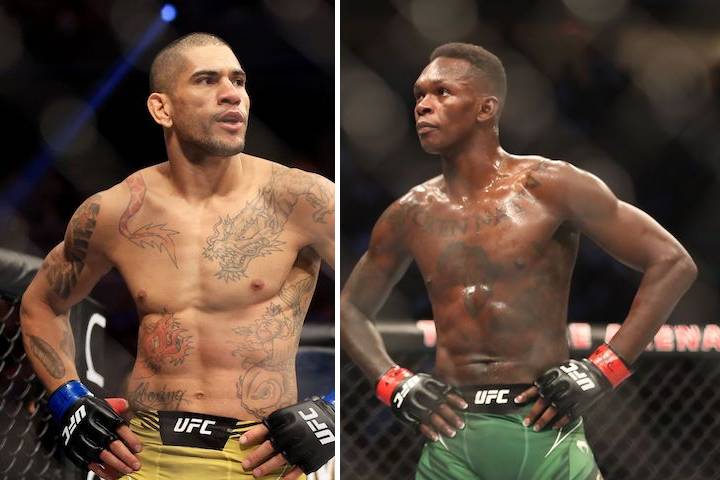 UFC 281 Fight Card: Prediction & Preview, Date & Location, T...