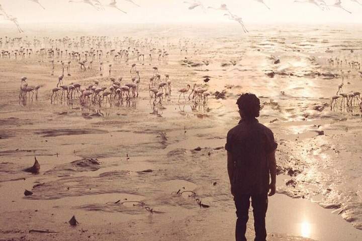 Beyond the Clouds China Box Office Collection | Worldwide