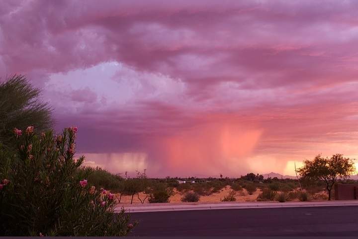 Oily skin troubles you during monsoon then these things will...