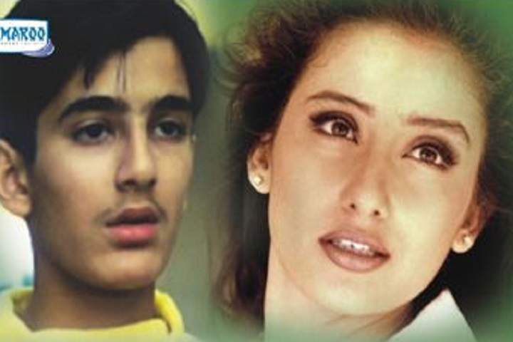 Ek Chotisi Love Story Box Office Collection | Day Wise | Wor...