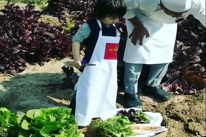 Taimur Ali Khan picks organic veggies at a farm