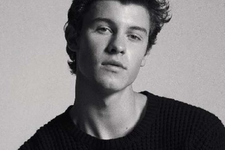 Shawn Mendes donates $175,000 to combat coronavirus