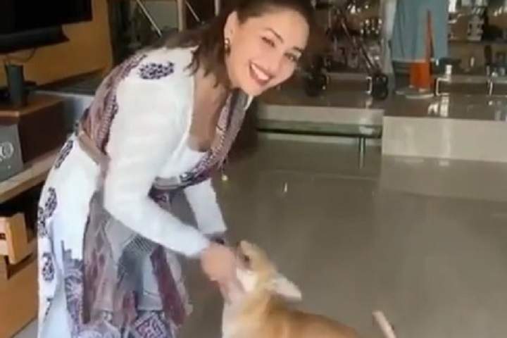 Madhuri, Preity shower love on furry friends on National Pet...