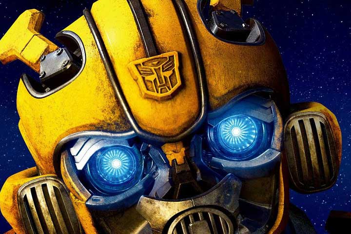 Bumblebee Worldwide Collection By Country Wise