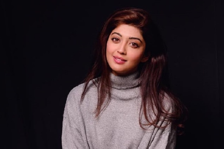 With Different Genres And Stories, Bollywood Has Space For E...