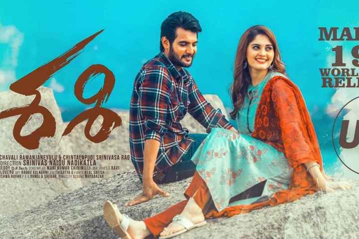 Sashi Box Office Collection | All Language | Day Wise | Worl...