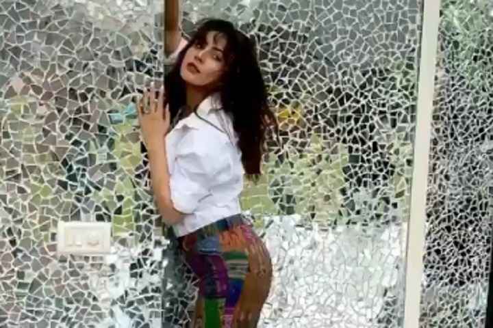 Shehnaaz Gill Makes Her Sparkling Debut In Dabboo Ratnani's ...