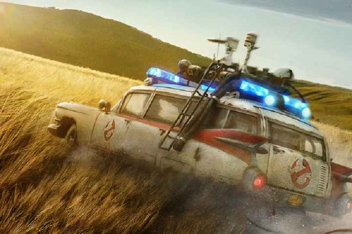 Sony Pictures Films India To Release Over 17 Films In 12 Mon...