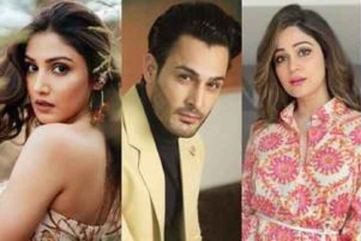 Bigg Boss 15: Shamita Shetty, Umar Raiz, Donal Bisht, And Tw...