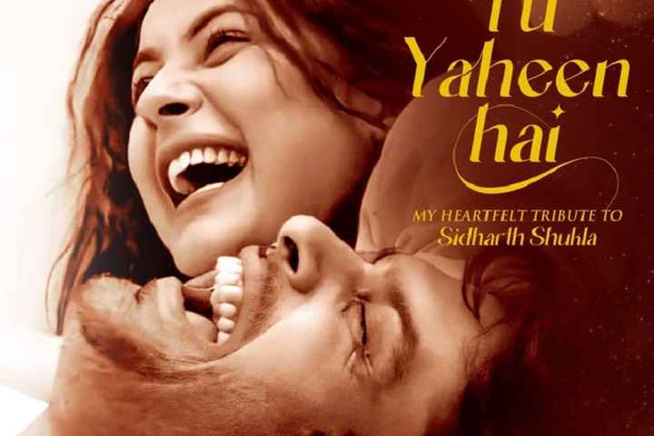 Tu Yaheen Hai: Shehnaaz Gill's First Social Media Post After...