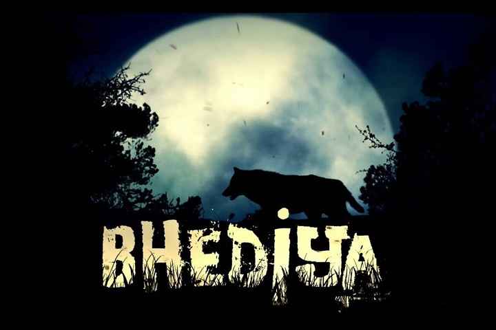 Varun Dhawan And Kriti Sanon's 'Bhediya' Release Date Postpo...