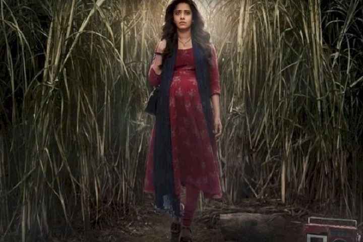 A Sequel To Nushrratt Bharuccha's Critically Acclaimed 'Chho...