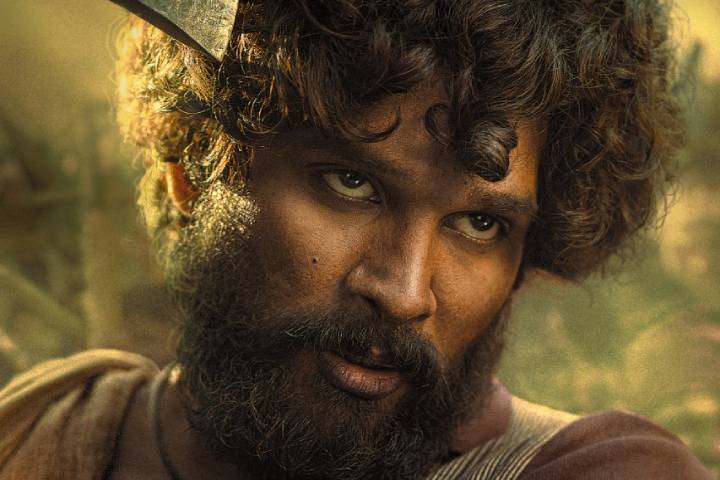 Pushpa: The Rise Hindi Theater Experience: Complete Entertai...