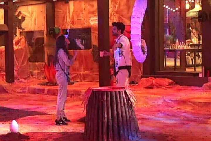 'Bigg Boss 15': Karan-Tejasswi spat gets nastier