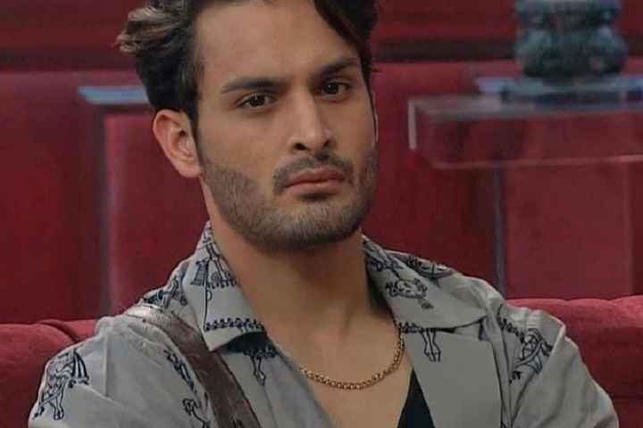 Asim Riaz Hints At Brother Umar's Eviction From 'Bigg Boss 1...