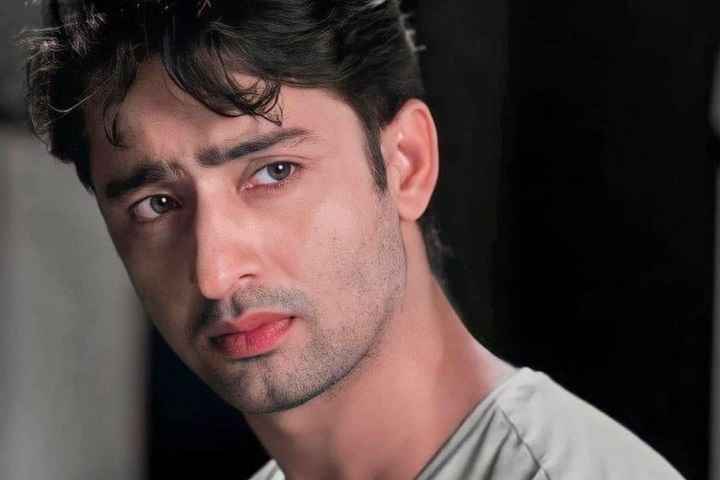 Shaheer Sheikh's Father Dies Of Covid; 'Stay Strong', Says A...