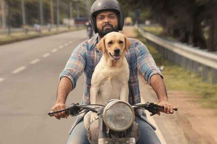 Kannada Film Industry Takes Fresh Breath After Karnataka Gov...