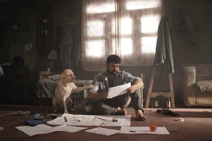 Blockbuster '777 Charlie' Ends Opening Week With 50 Crores A...
