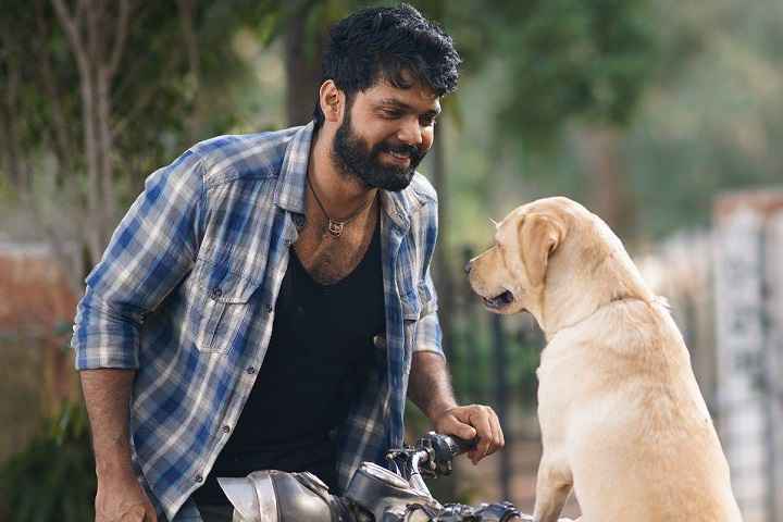 '777 Charlie' Becomes The Highest-Grossing Film of Rakshit S...