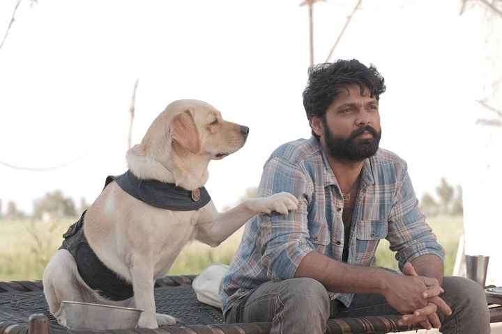 Rakshit Shetty's Blockbuster '777 Charlie' Scored Excellent ...