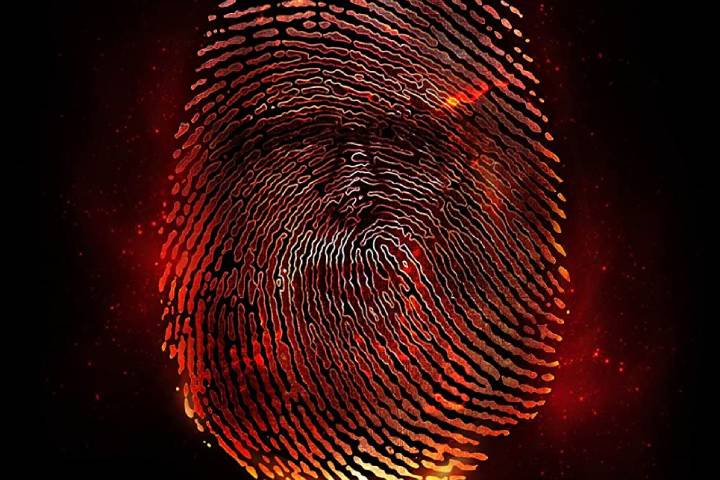 Rocketry: The Nambi Effect Box Office Collection | All Langu...