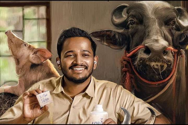 Palthu Janwar Box Office Collection | All Language | Day Wis...