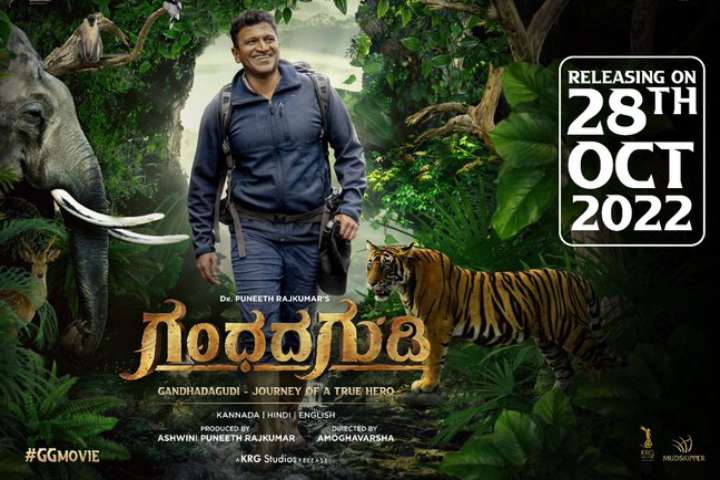 Gandhada Gudi Box Office Collection | All Language | Day Wis...