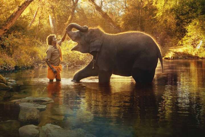 Three Indian Titles Score Nominations At 95th Academy Awards