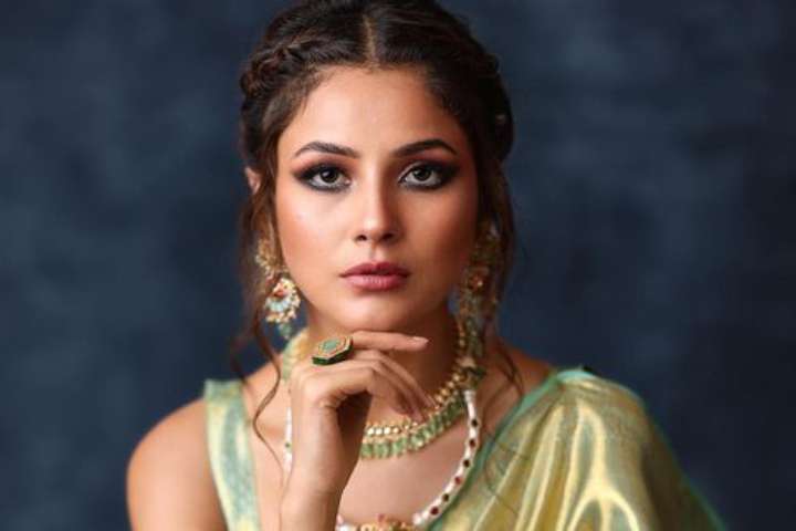 Shehnaaz Gill And Vaani Kapoor To Star In Producer Nikhil Ad...