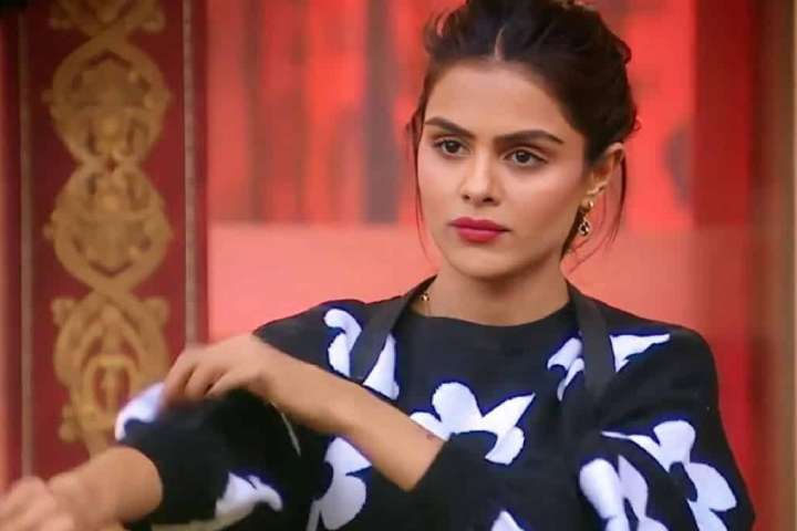 Bigg Boss 16 Fame Priyanka Chahar Choudhary To Feature In Ro...