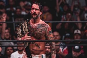 Wrestling Fans Agree With Punk, leave Mindy Some Five-Star reviews.