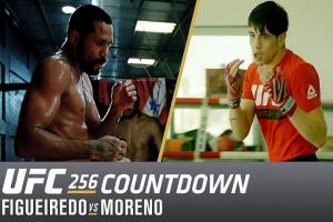 UFC 256 Deiveson Figueiredo Vs. Brandon Moreno Fight Winner Prediction 