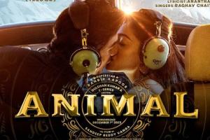 Animal Box Office Collection | All Language | Day Wise | Worldwide