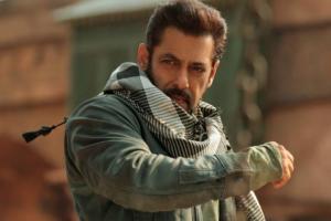 Box Office: Tiger 3 Opening Day Early Estimates; Biggest Opening For Salman Khan